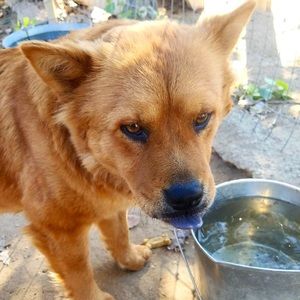 Meet your Posher, Jessi